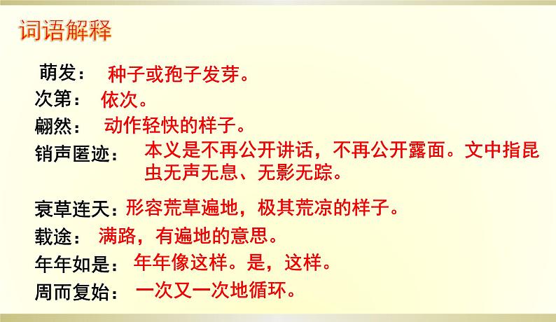 《大自然的语言》课件第7页