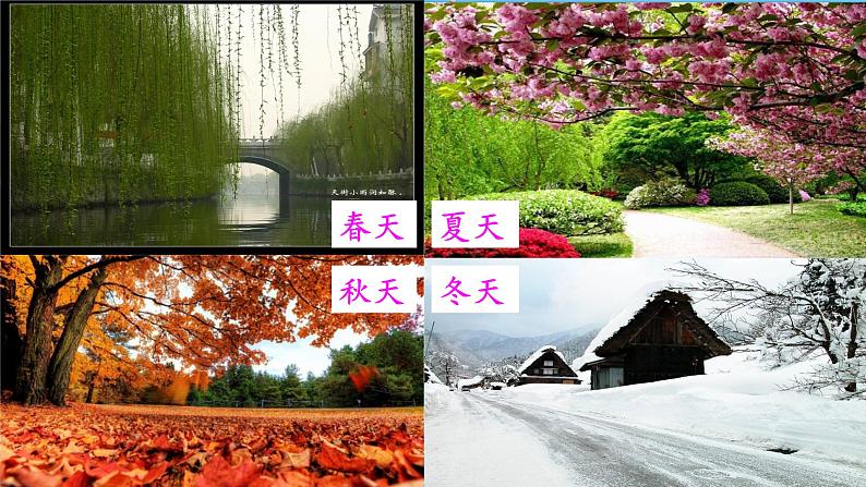 第5课《大自然的语言》课件（共22页）2021-2022学年部编版语文八年级下册第1页