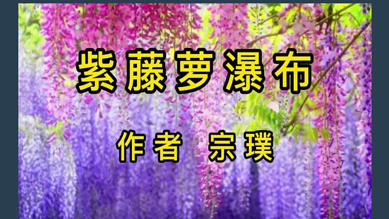 第18课《紫藤萝瀑布》课件（共22页）2021-2022学年部编版语文七年级下册第8页