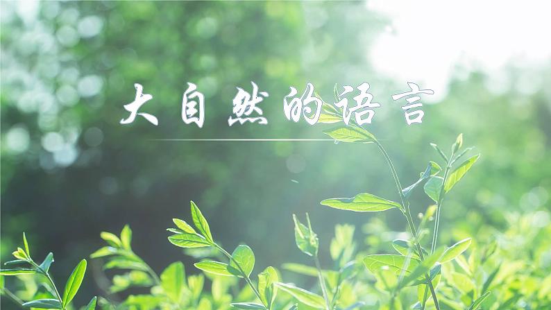 第5课《大自然的语言》课件（共24页）2021-2022学年部编版语文八年级下册第1页