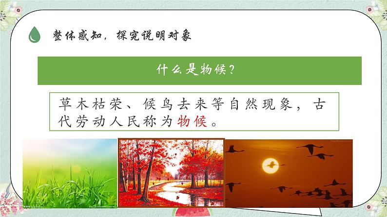 第5课《大自然的语言》课件（共24页）2021-2022学年部编版语文八年级下册第5页