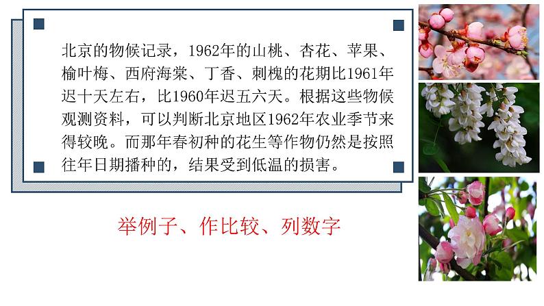 第5课《大自然的语言》课件（共24页）2021-2022学年部编版语文八年级下册第8页