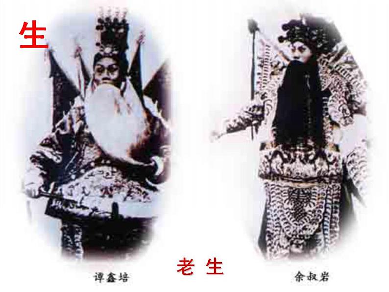 1  社戏 课件  部编版语文八年级下册第5页