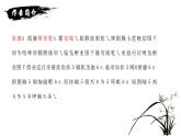 社戏 课件（共26张PPT）  部编版语文八年级下册