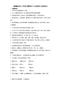 初中语文人教部编版七年级下册10 阿长与《山海经》同步达标检测题