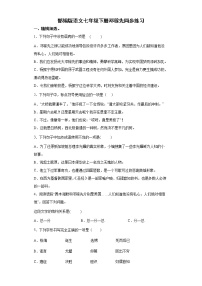 初中语文人教部编版七年级下册1 邓稼先复习练习题