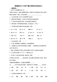 初中语文人教部编版七年级下册土地的誓言课后作业题