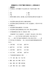 初中语文人教部编版七年级下册14 叶圣陶先生二三事同步练习题