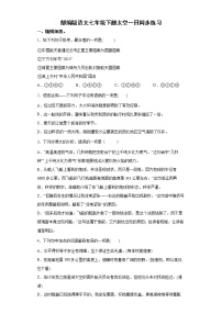 初中语文人教部编版七年级下册23 太空一日课后测评