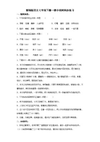 人教部编版七年级下册19* 一棵小桃树复习练习题