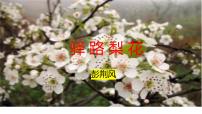 初中语文人教部编版七年级下册15 驿路梨花课堂教学ppt课件