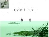 第12课《诗经》二首之《蒹葭》课件（23张PPT）2021-2022学年部编版语文八年级下册