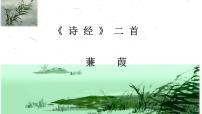 人教部编版八年级下册蒹葭课文配套ppt课件