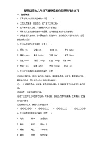 初中语文人教部编版九年级下册16* 驱遣我们的想象课时练习