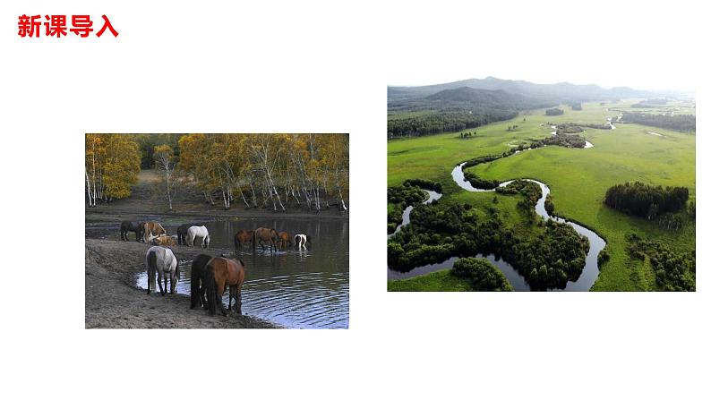 部编版七年级语文下册----08《土地的誓言》课件第6页