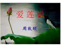 人教部编版七年级下册第四单元17 短文两篇爱莲说课文内容课件ppt