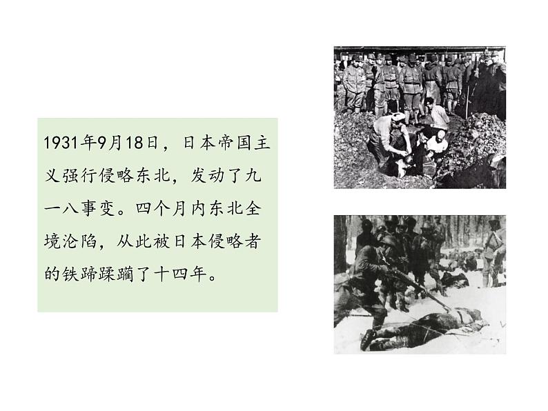 部编版七年级语文下册----8 土地的誓言（教学课件）04