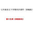 初中人教部编版第四单元15 驿路梨花课堂教学ppt课件