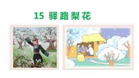人教部编版七年级下册15 驿路梨花背景图课件ppt