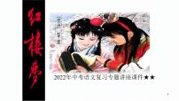 2022年中考语文复习专题讲座课件★★红楼梦人物关系及简介(共98张PPT)