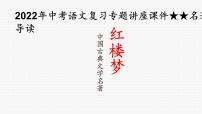 2022年中考语文复习专题讲座课件★★名著导读——《红楼梦》(共19张PPT)