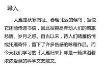初中语文人教部编版八年级下册大雁归来优秀课件ppt