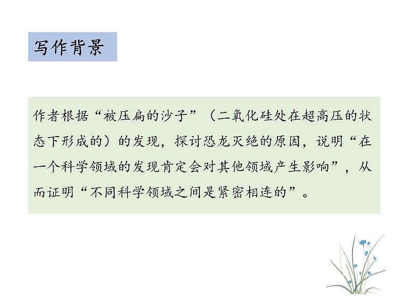 部编版八年级语文下册----6.2 被压扁的沙子（教学课件）第5页