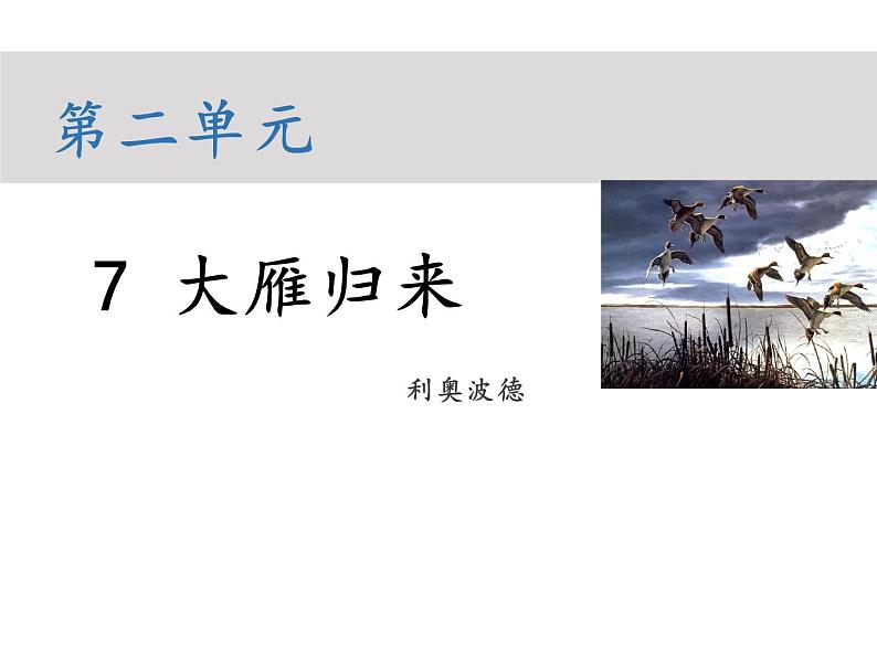 部编版八年级语文下册----7 大雁归来（教学课件）第1页