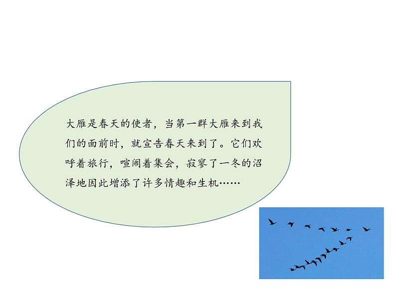 部编版八年级语文下册----7 大雁归来（教学课件）第3页