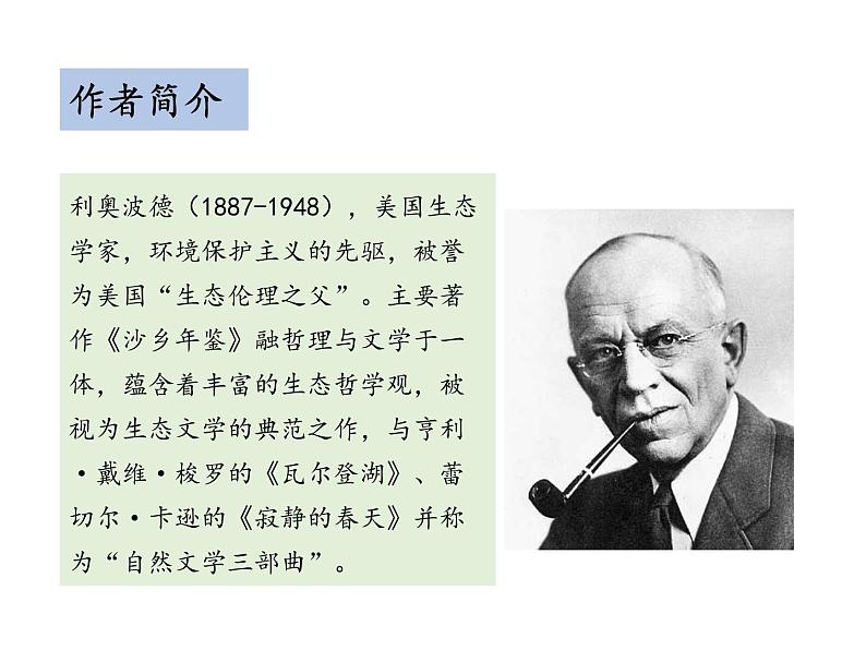 部编版八年级语文下册----7 大雁归来（教学课件）第5页