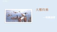 人教部编版八年级下册大雁归来课前预习ppt课件