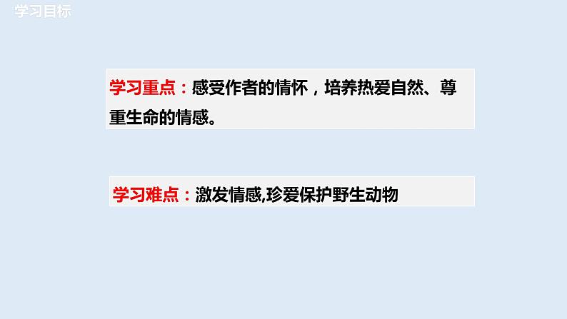 部编版八年级语文下册----7《大雁归来》课件(+ 素材）03