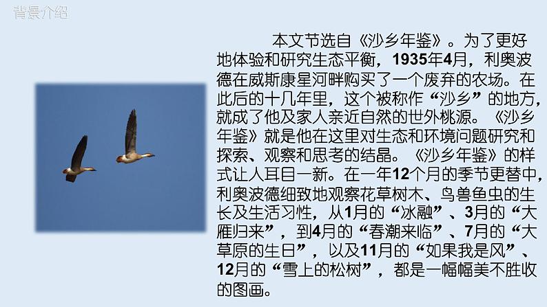 部编版八年级语文下册----7《大雁归来》课件(+ 素材）06
