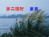 部编版八年级语文下册----12《诗经》二首蒹葭 课件+ 素材