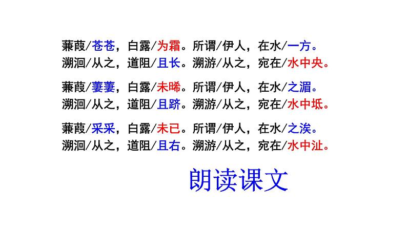 部编版八年级语文下册----12《诗经》二首蒹葭 课件+ 素材05