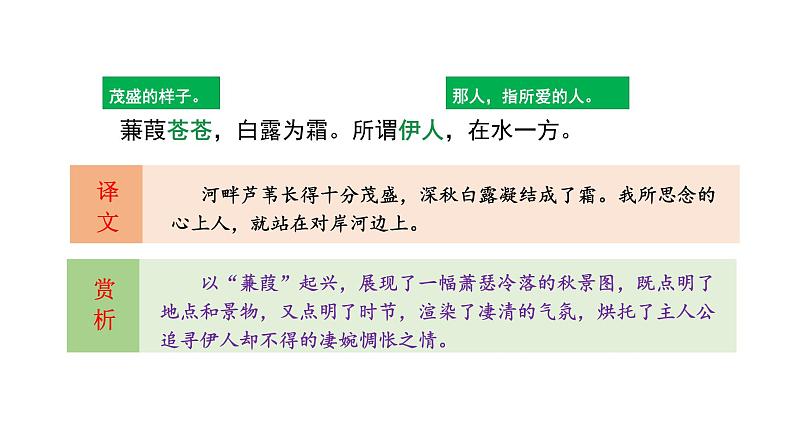 部编版八年级语文下册----12《诗经》二首蒹葭 课件+ 素材07