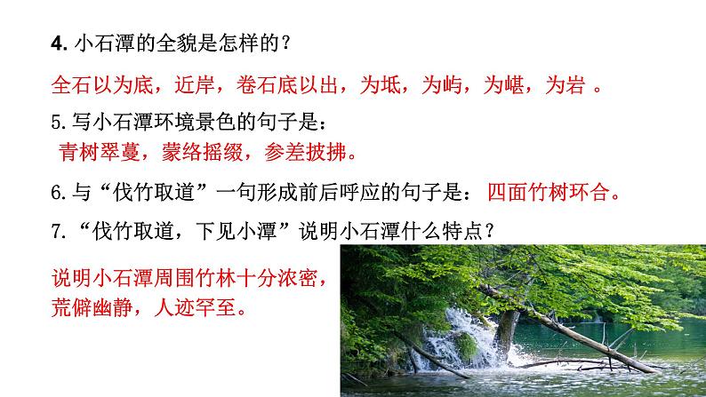 部编版八年级语文下册----10 小石潭记课件第5页