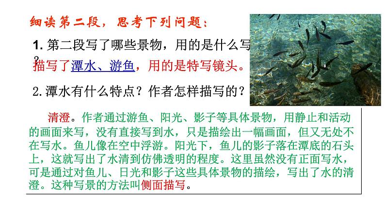 部编版八年级语文下册----10 小石潭记课件第8页