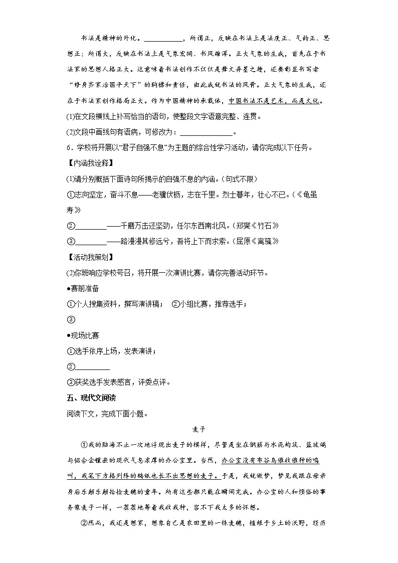 河南省周口市沈丘县2021-2022学年九年级上学期期末语文试题（word版含答案）第2页