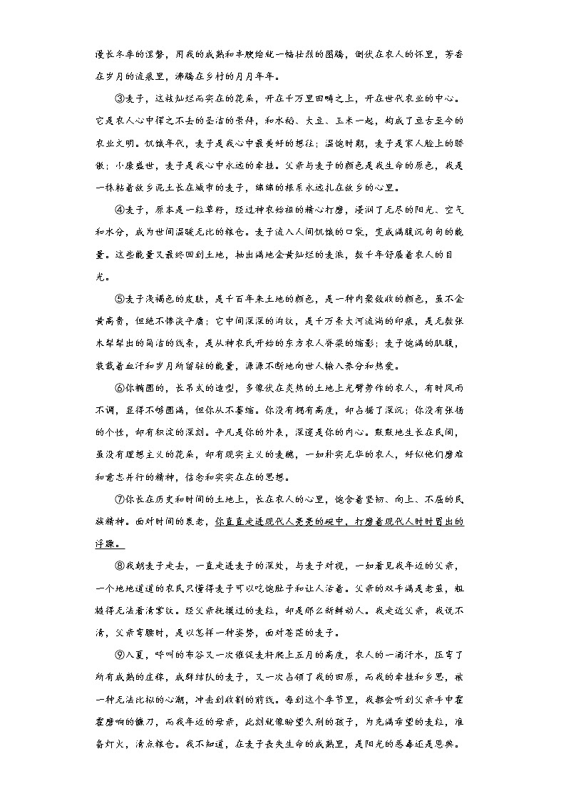 河南省周口市沈丘县2021-2022学年九年级上学期期末语文试题（word版含答案）第3页