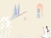第12课《诗经二首——蒹葭》课件（共40张PPT）2021—2022学年部编版语文八年级下册
