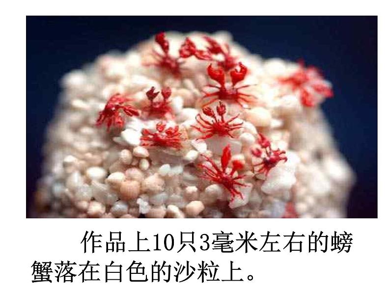 第11课《核舟记》课件  部编版语文八年级下册第3页