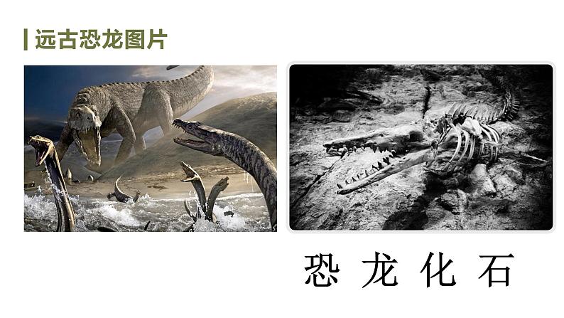 第6课《阿西莫夫短文两篇——被压扁的沙子》课件   部编版语文八年级下册第3页
