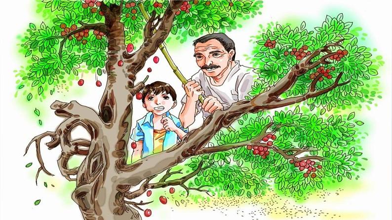 部编版九年级语文下册课件----19《枣儿》第7页