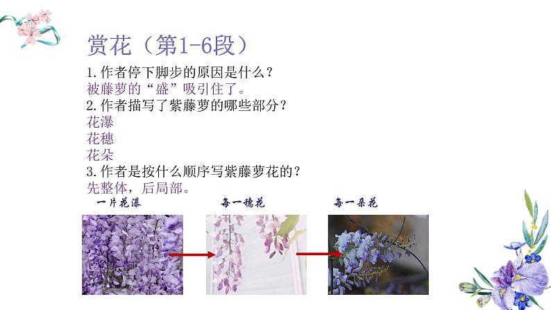 紫藤萝瀑布（微格用）课件PPT07