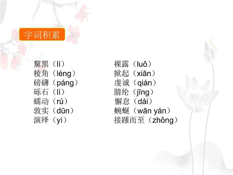 八年级语文下册第五单元《在长江源头各拉丹冬》教学课件第5页