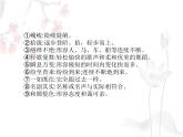 八年级语文下册第五单元《登勃朗峰》教学课件