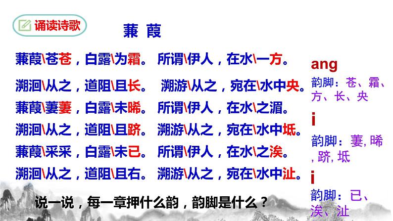 第12课《蒹葭》课件  第5页