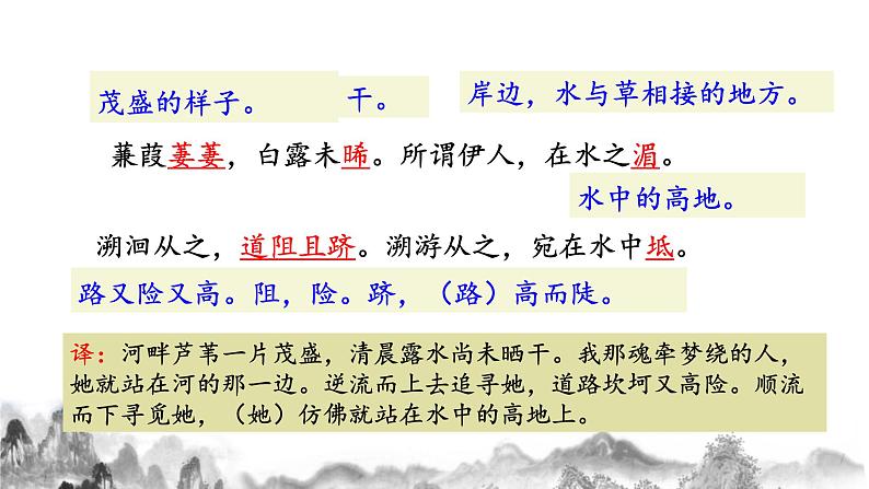 第12课《蒹葭》课件  第7页