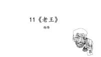 人教部编版七年级下册11 老王多媒体教学课件ppt